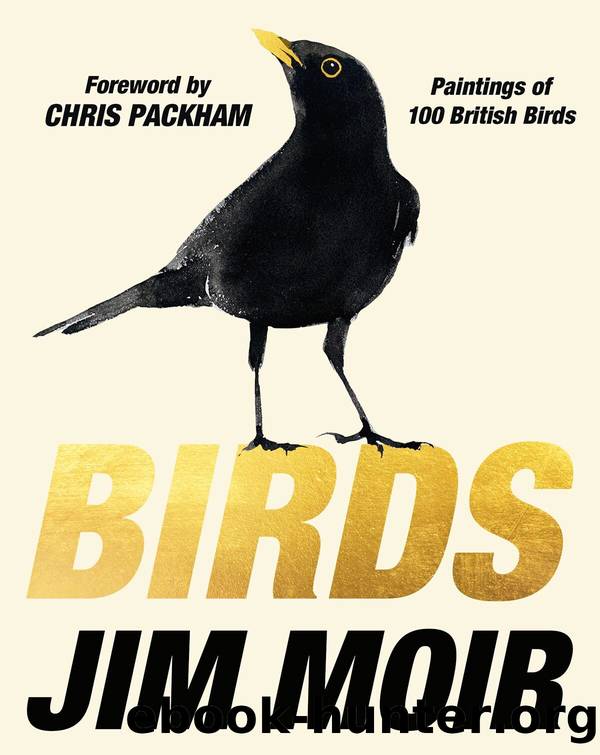 BIRDS by Jim Moir