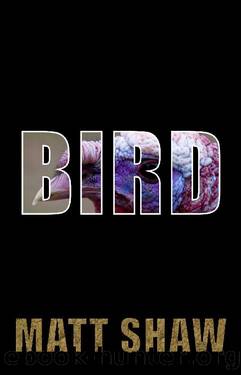 BIRD_The Troubled Tale of a Henpecked Husband by Matt Shaw