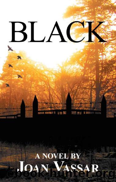 BLACK (The Black Series Book 1) by Joan Vassar