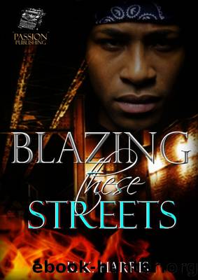 BLAZING these STREETS by K. K. Harris