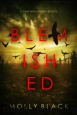 BLEMISHED by MOLLY BLACK