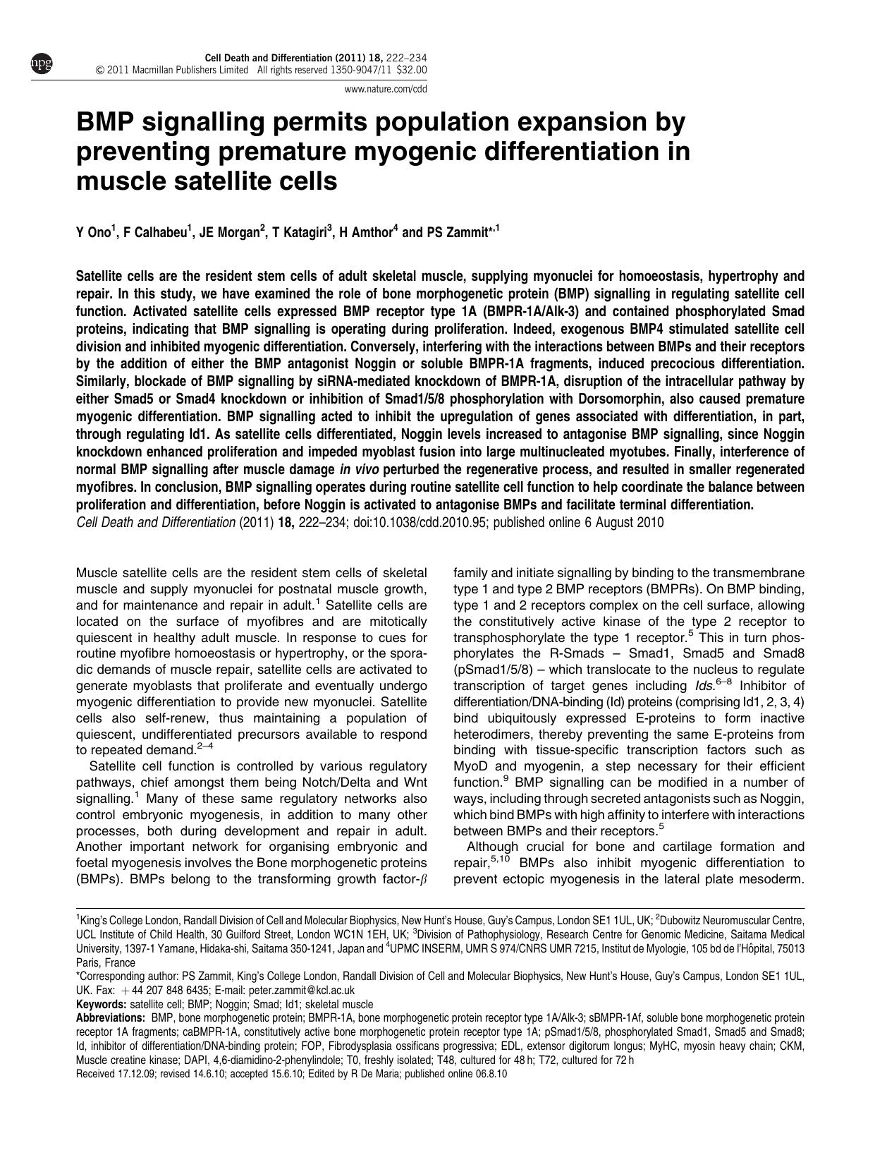 BMP signalling permits population expansion by preventing premature myogenic differentiation in muscle satellite cells by Y Ono & F Calhabeu & J E Morgan & T Katagiri & H Amthor & P S Zammit