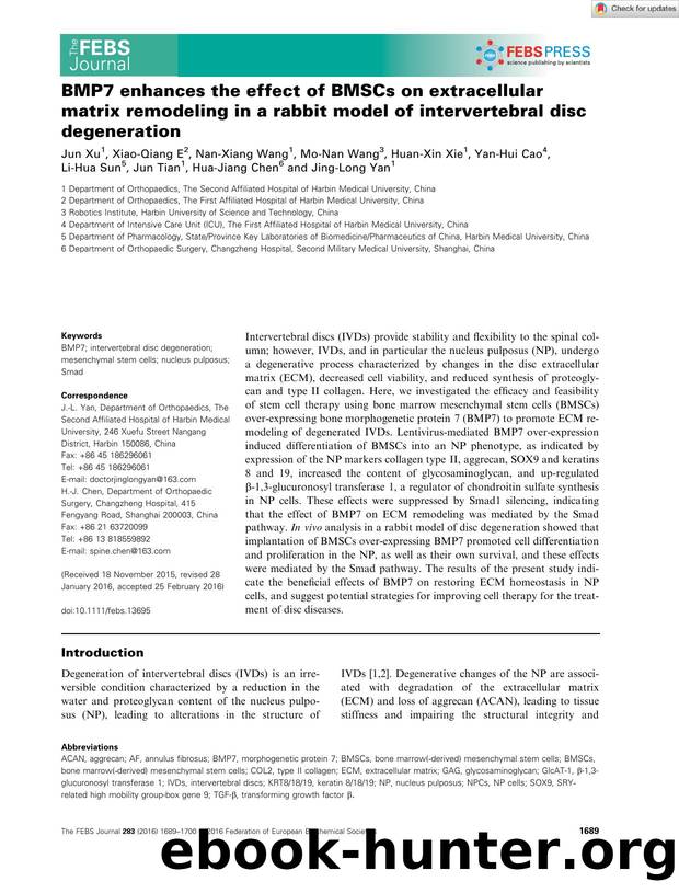 BMP7 enhances the effect of BMSCs on extracellular matrix remodeling in a rabbit model of intervertebral disc degeneration by Unknown