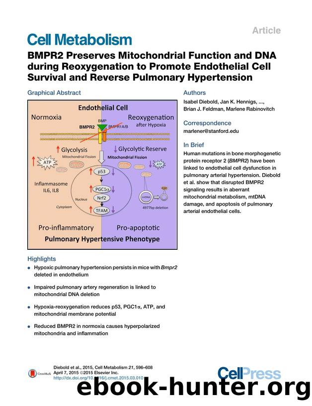 BMPR2 Preserves Mitochondrial Function and DNA during Reoxygenation to Promote Endothelial Cell Survival and Reverse Pulmonary Hypertension by unknow