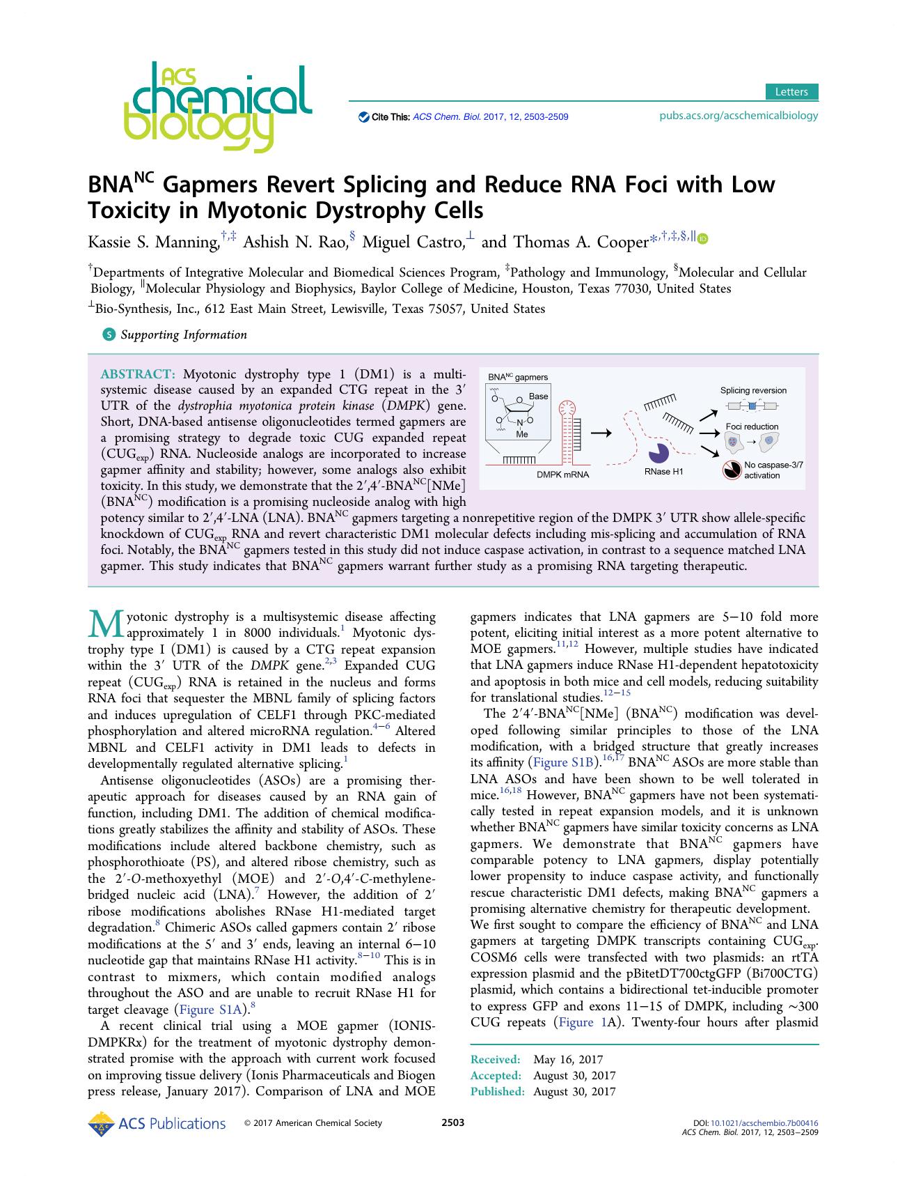 BNANC Gapmers Revert Splicing and Reduce RNA Foci with Low Toxicity in Myotonic Dystrophy Cells by Kassie S. Manning Ashish N. Rao Miguel Castro and Thomas A. Cooper
