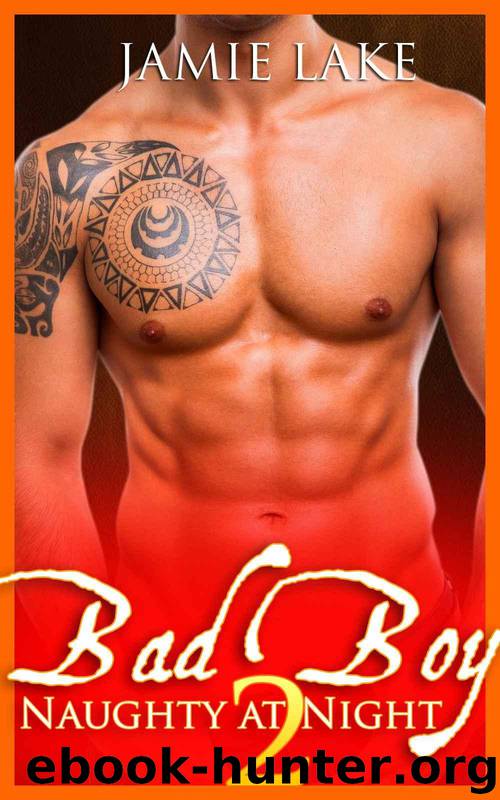 BOOK 2 - Bad Boy | Gay Romance MM Boyfriend Series: Bad Boy: Naughty at Night Gay Romance Novels (Bad Boy: Naughty at Night Gay Romance Books) by Lake Jamie