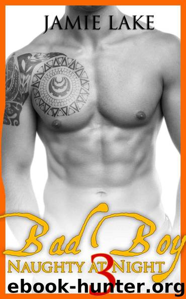 BOOK 3 - Bad Boy | Gay Romance MM Boyfriend Series: Bad Boy: Naughty at Night Gay Romance Novels (Bad Boy: Naughty at Night Gay Romance Books) by Jamie Lake