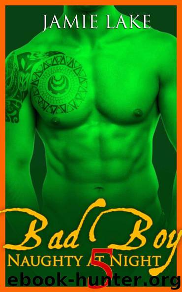 BOOK 5 - Bad Boy | Gay Romance MM Boyfriend Series: Bad Boy: Naughty at Night Gay Romance Novels (Bad Boy: Naughty at Night Gay Romance Books) by Jamie Lake