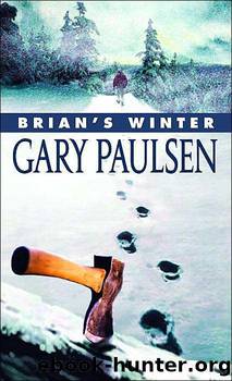 BR 03 - Brian's Winter by Gary Paulsen