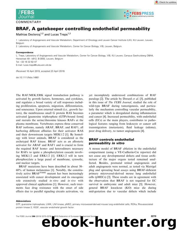 BRAF, A gatekeeper controlling endothelial permeability by Unknown