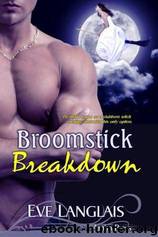 BROOMSTICK BREAKDOWN by LANGLAIS EVE