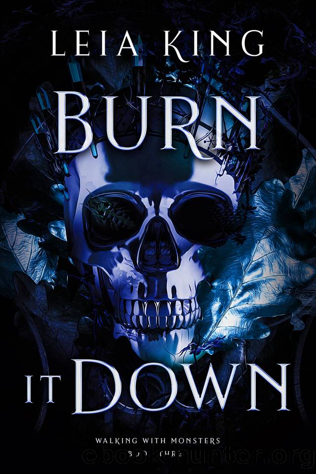 BURN IT DOWN: A Dark College Reverse Harem Romance by Leia King