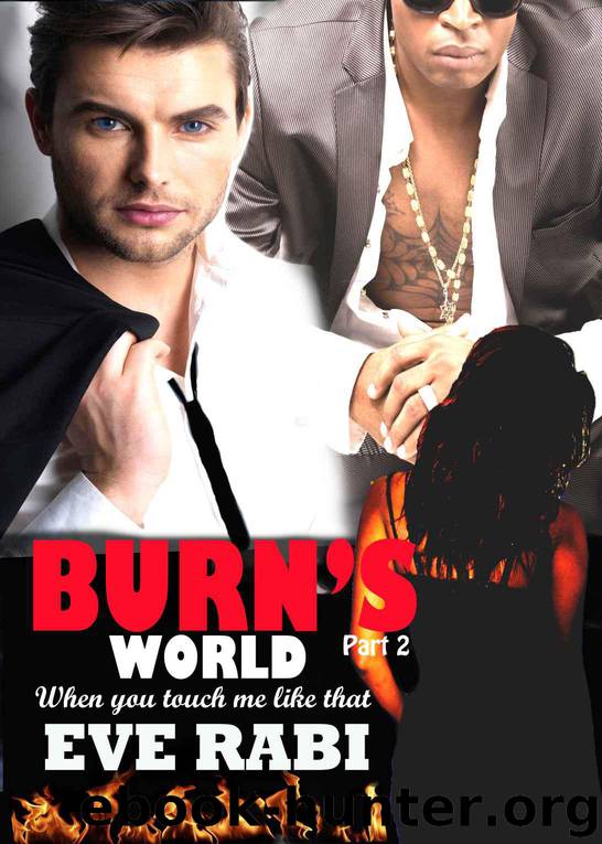 BURN'S WORLD 3 and 4 - When You Touch Me Like That: A Love Triangle by Eve Rabi