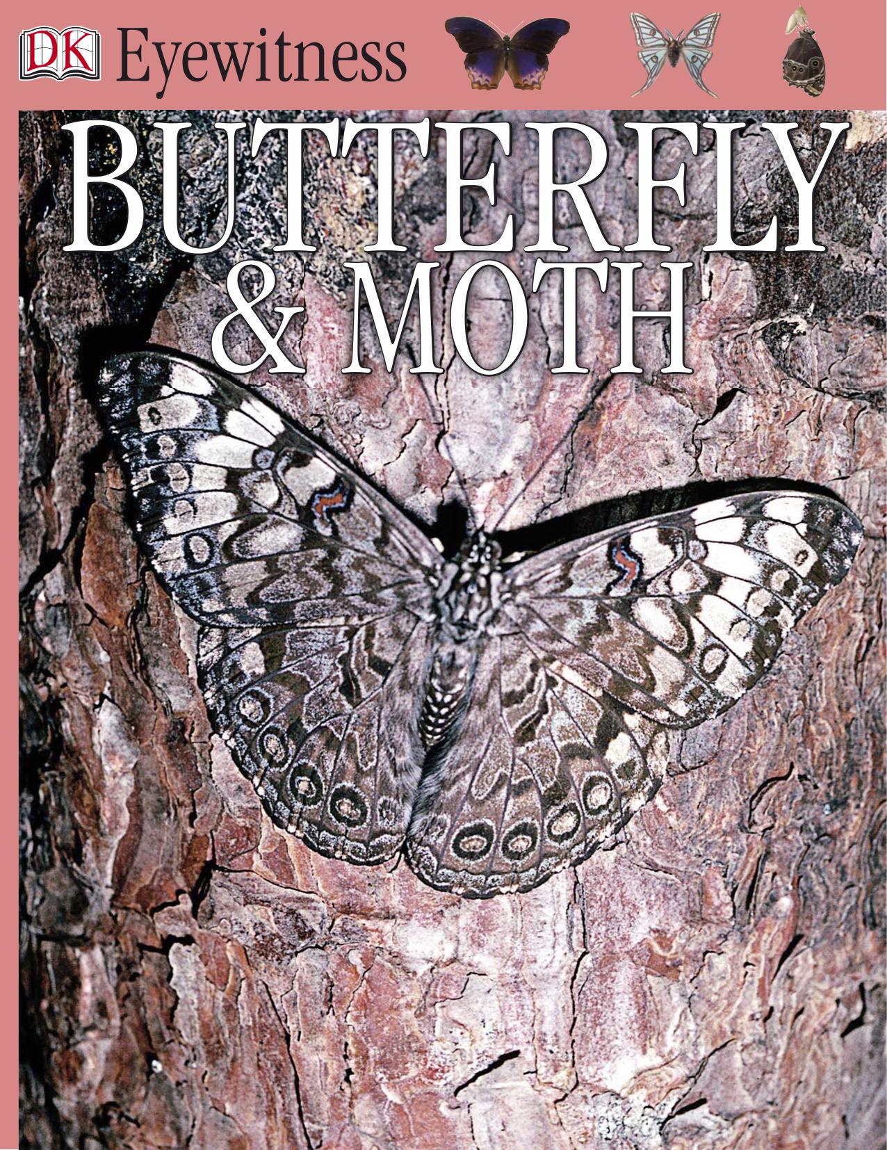 BUTTERFLY AND MOTH (DK Eyewitness Books) by Paul Ernest Sutton Whalley