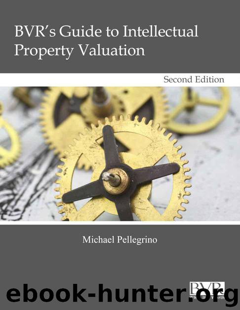 BVR's Guide to Intellectual Property Valuation by Michael Pellegrino