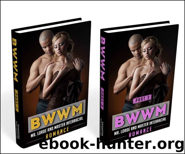BWWM Box Set #4 (BWWM Romance, BWWM Interracial Romance, BWWM) by Samantha Wellshauna & Bwwm