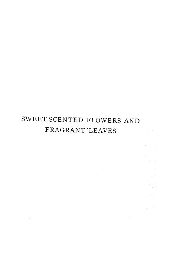 BY Donald Mcdonald, WITH Introduction BY W. Robinson - Sweet-scented flowers and fragrant leaves by 1895