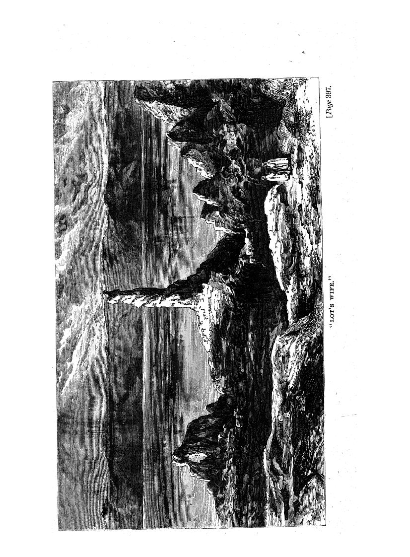 BY E.H. Palmer, Palmer E.H. - The desert of the exodus by 1872