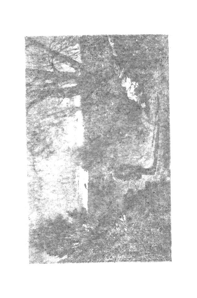 BY JOHN Greenleaf Whittier - Hazel-blossoms by 1875