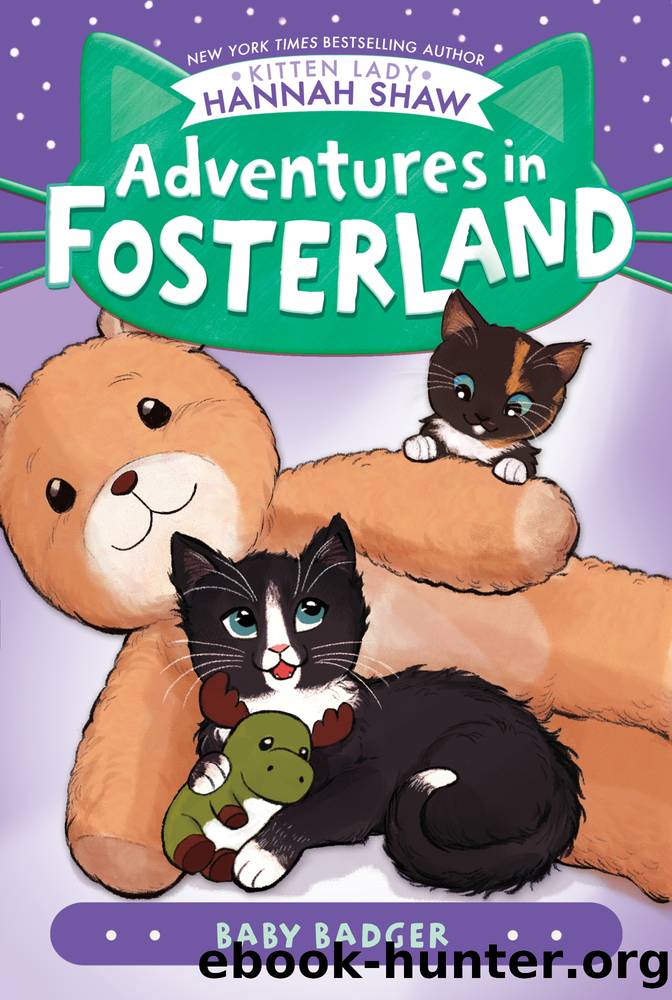 Baby Badger by Hannah Shaw