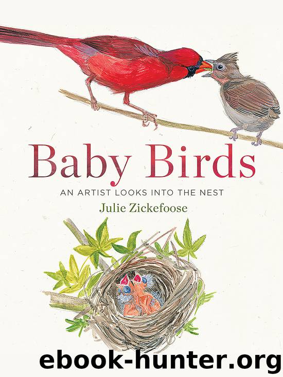 Baby Birds by Julie Zickefoose