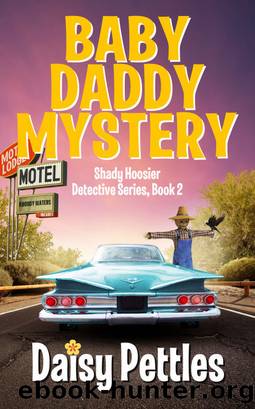 Baby Daddy Mystery by Daisy Pettles