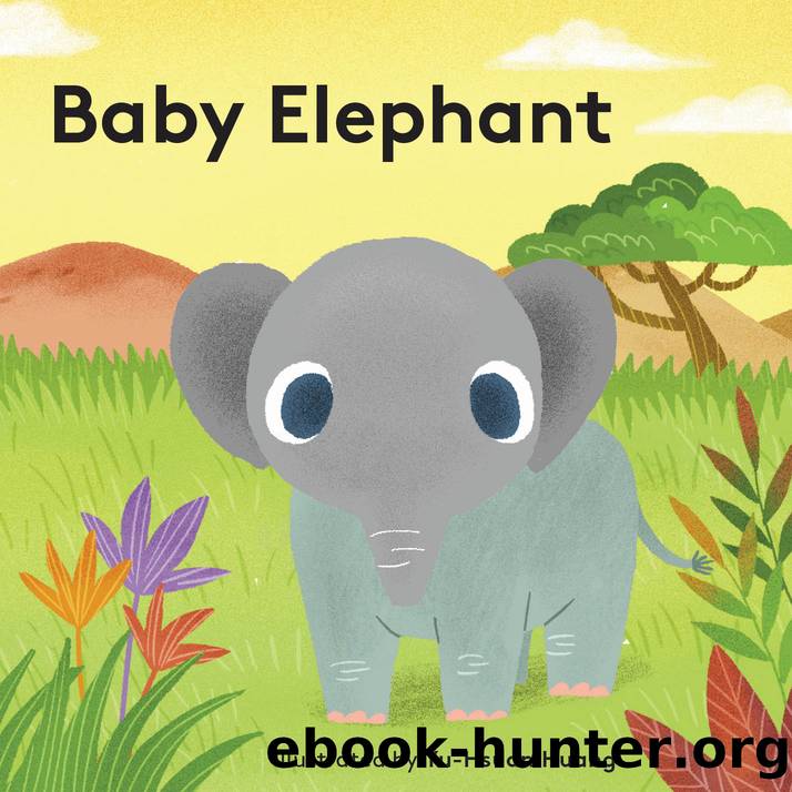 Baby Elephant by Yu-Hsuan Huang