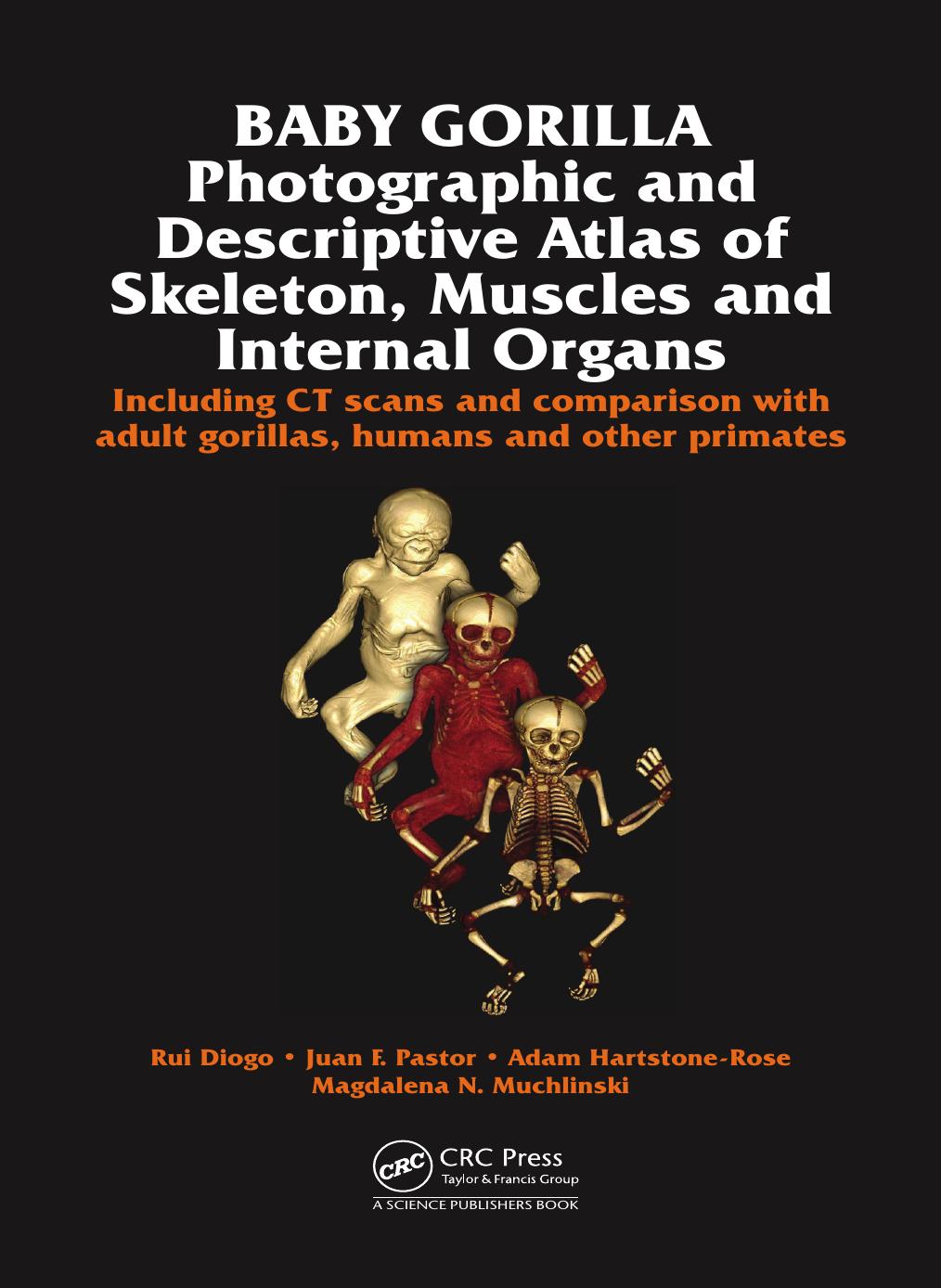 Baby Gorilla: Photographic and Descriptive Atlas of Skeleton, Muscles and Internal Organs (repost) by unknow