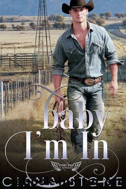 Baby I'm In (Honky Tonk Angels Book 3) by Ciana Stone