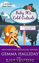 Baby It's Cold Outside by Gemma Halliday