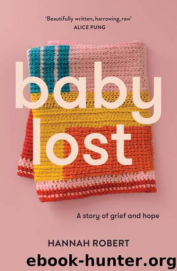 Baby Lost by Hannah Robert