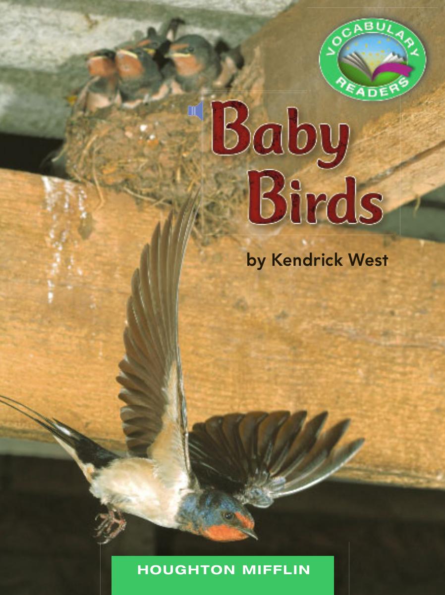 Baby birds, Soccer and more by West Kendrick