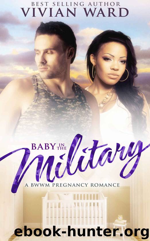 Baby in the Military (A BWWM Pregnancy Romance)