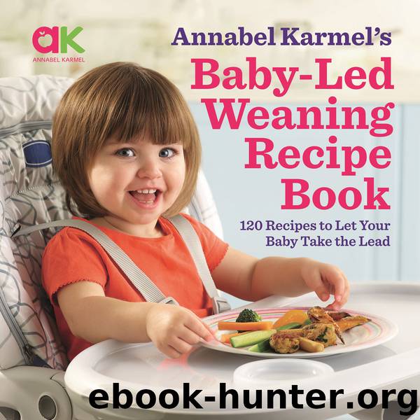 Baby-Led Weaning Recipe Book by Annabel Karmel