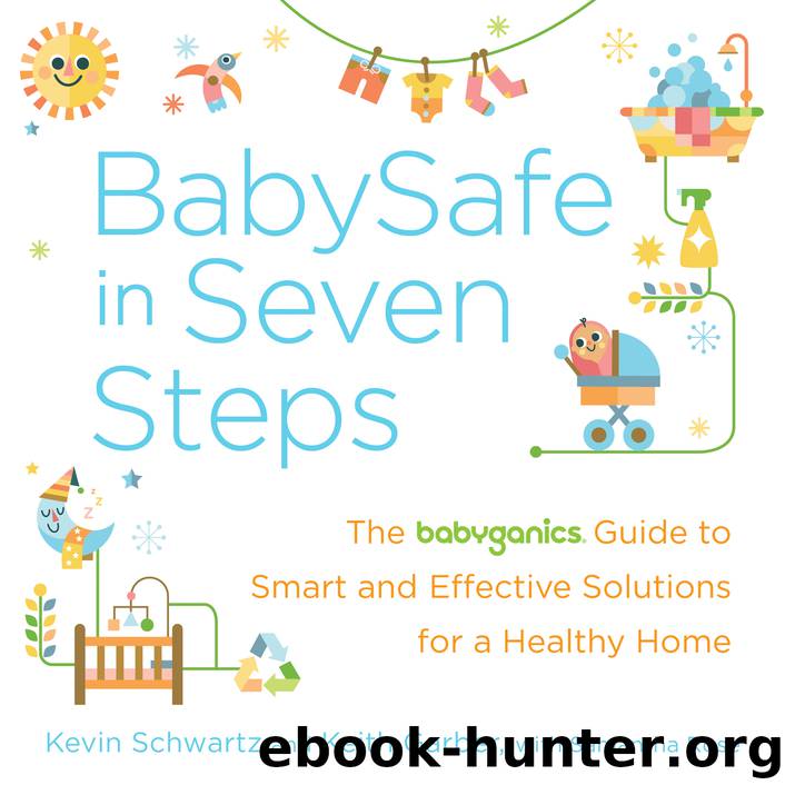 BabySafe in Seven Steps by Kevin Schwartz