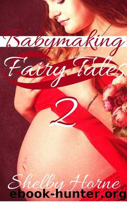 Babymaking Fairy Tales 2 by Unknown