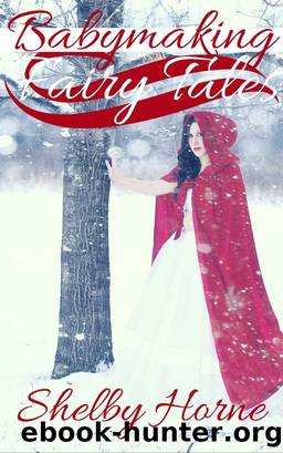 Babymaking Fairy Tales by Unknown