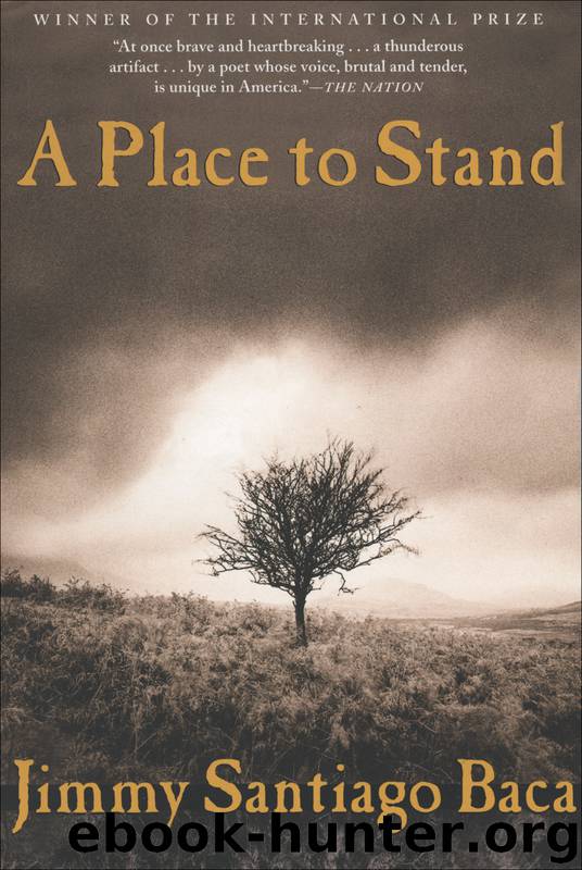 Baca, Jimmy Santiago - A Place to Stand by Baca Jimmy Santiago