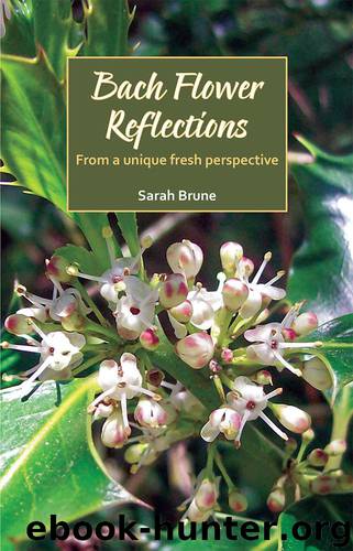 Bach Flower Reflections: From a Unique Fresh Perspective by Sarah Brune
