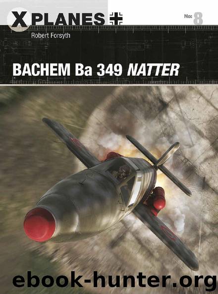 Bachem Ba 349 Natter (X-Planes) by Robert Forsyth