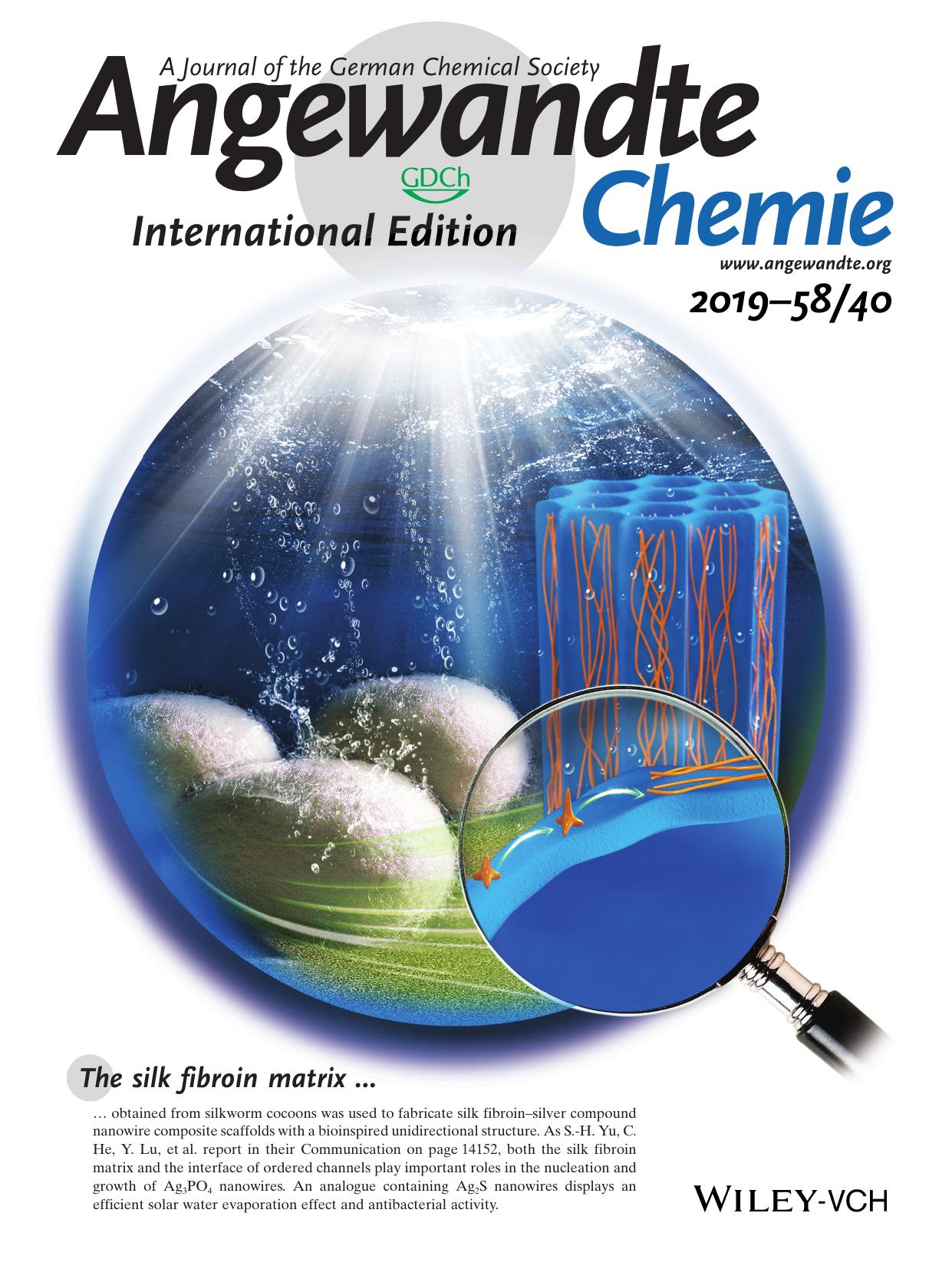 Back Cover: Bioinspired Unidirectional Silk FibroinâSilver Compound Nanowire Composite Scaffold via InterfaceâMediated In Situ Synthesis (Angew. Chem. Int. Ed. 402019) by Unknown