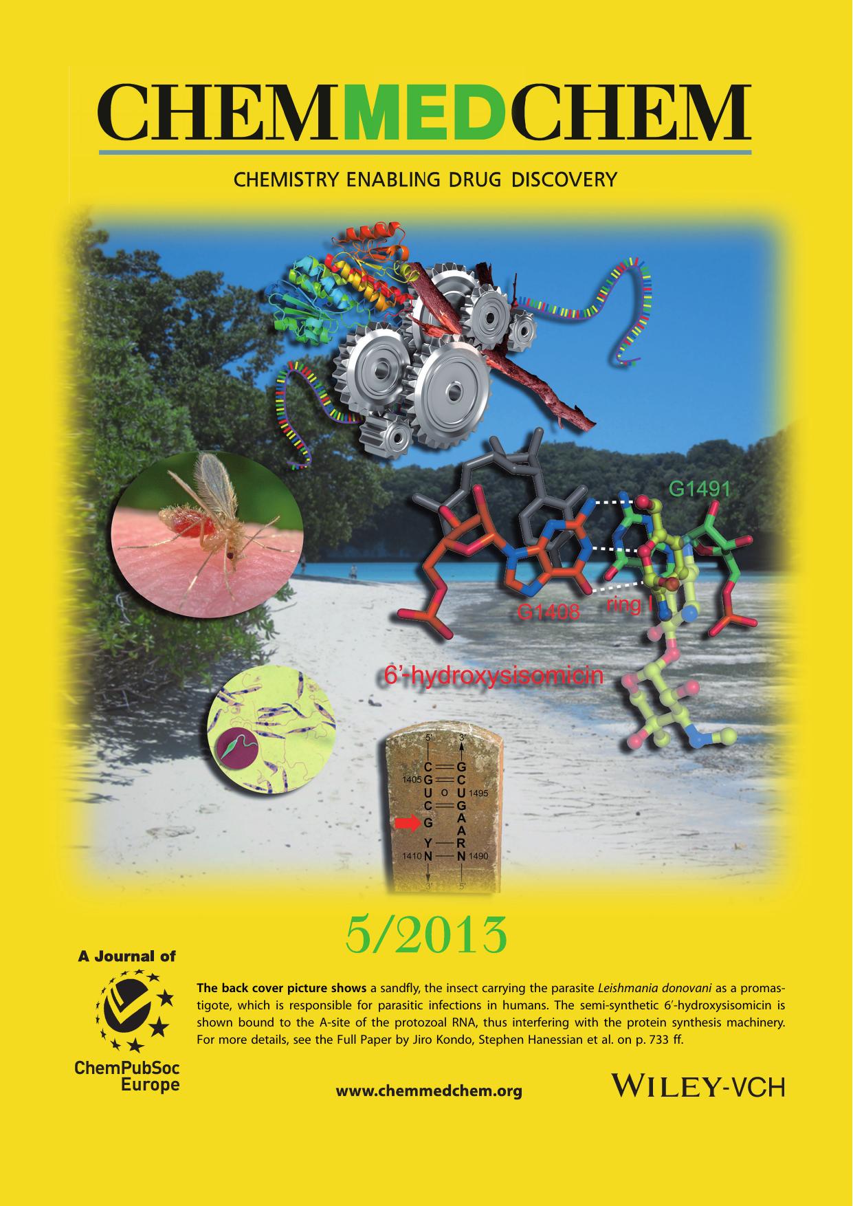 Back Cover: Crystal Structures of a Bioactive 6Hydroxy Variant of Sisomicin Bound to the Bacterial and Protozoal Ribosomal Decoding Sites (ChemMedChem 52013) by Unknown