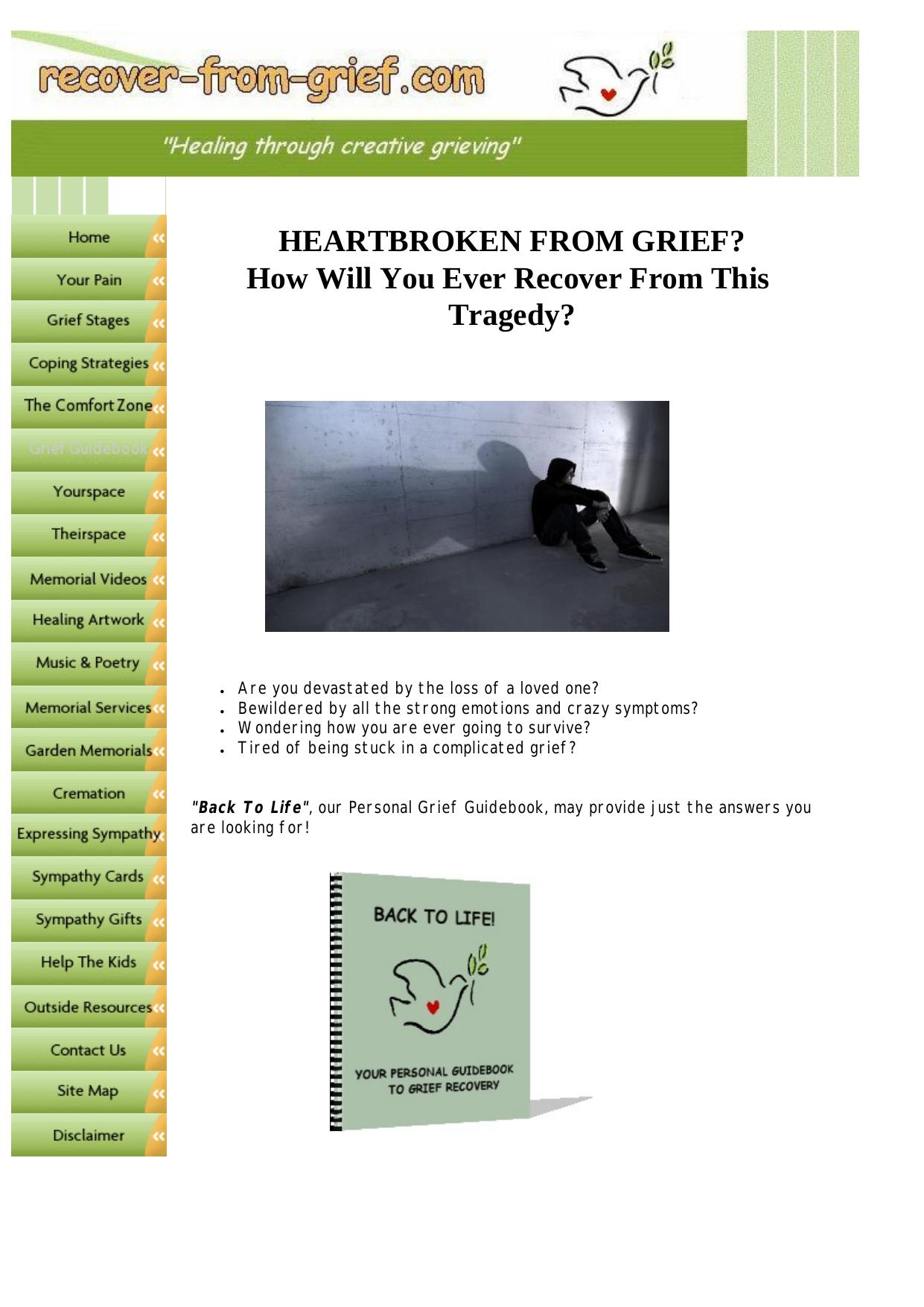 Back To Life! A Personal Grief Guidebook. by Best of Kuszter's Collection