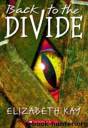Back To The Divide by Elizabeth Kay