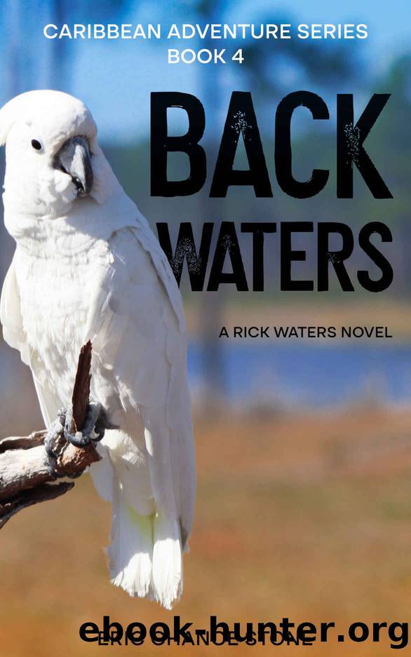 Back Waters by Stone Eric Chance