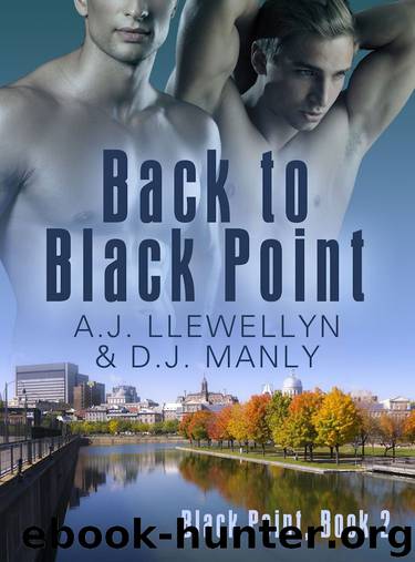Back to Black Point: Book 2 by A.J. Llewellyn & D.J. Manly