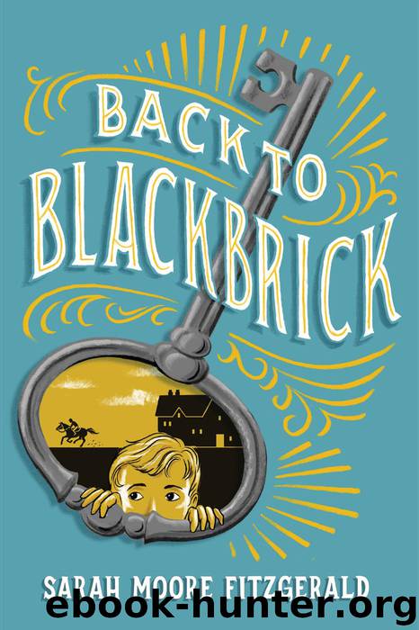 Back to Blackbrick by Sarah Moore Fitzgerald