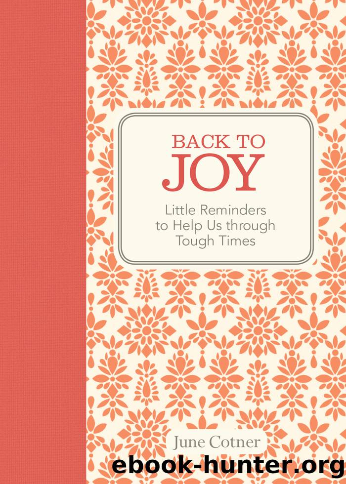 Back to Joy by June Cotner