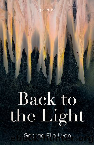 Back to the Light by George Ella Lyon