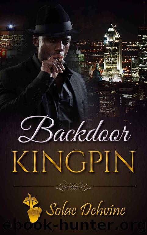 Backdoor Kingpin: Down Low Suspense Romance by Solae Dehvine